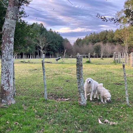 Estancia Pinos de la Quebrada Quebrada de los Cuervos Exterior foto