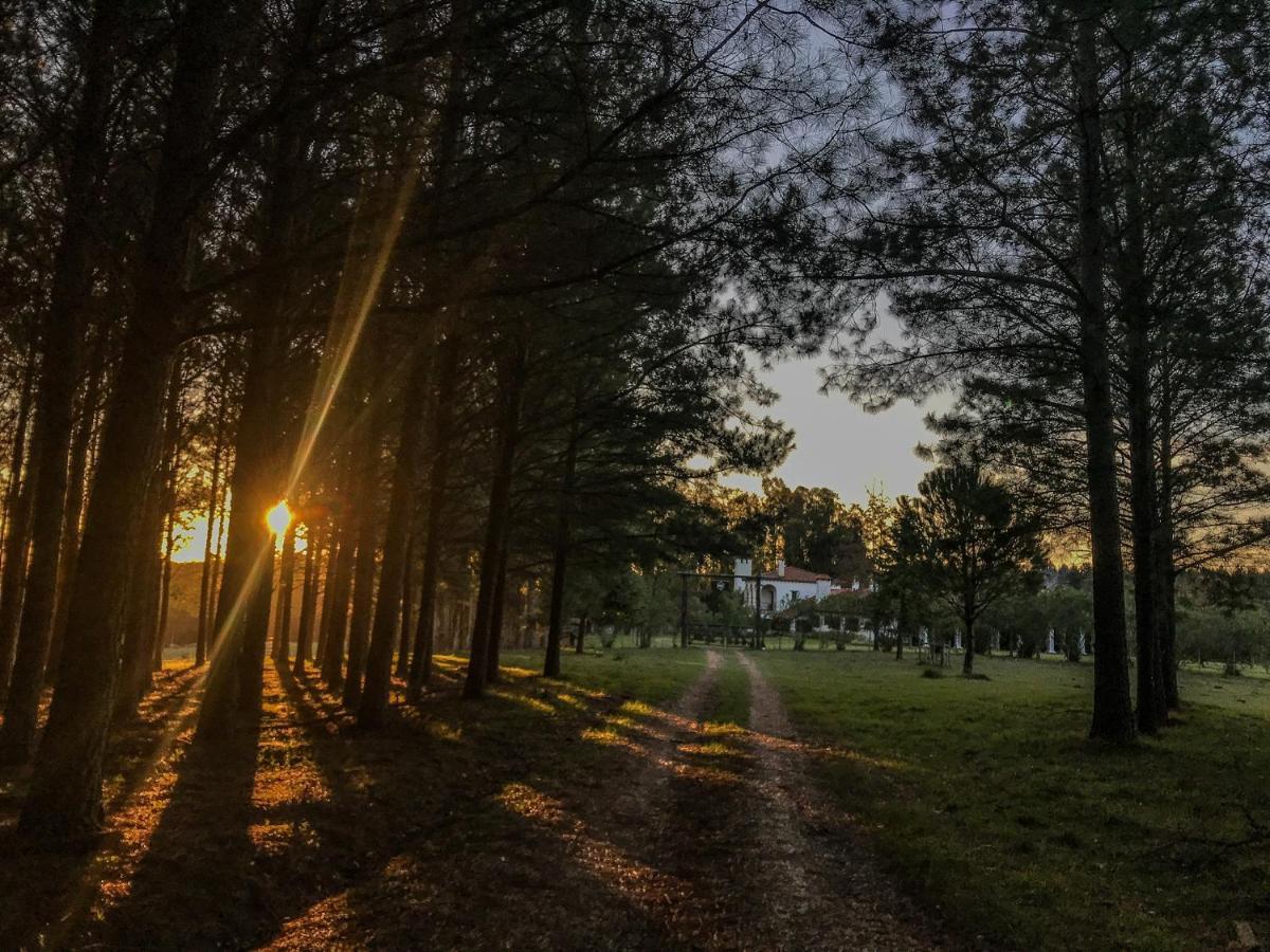 Estancia Pinos de la Quebrada Quebrada de los Cuervos Exterior foto