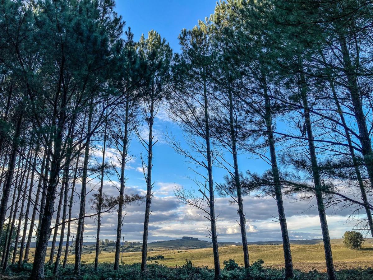 Estancia Pinos de la Quebrada Quebrada de los Cuervos Exterior foto