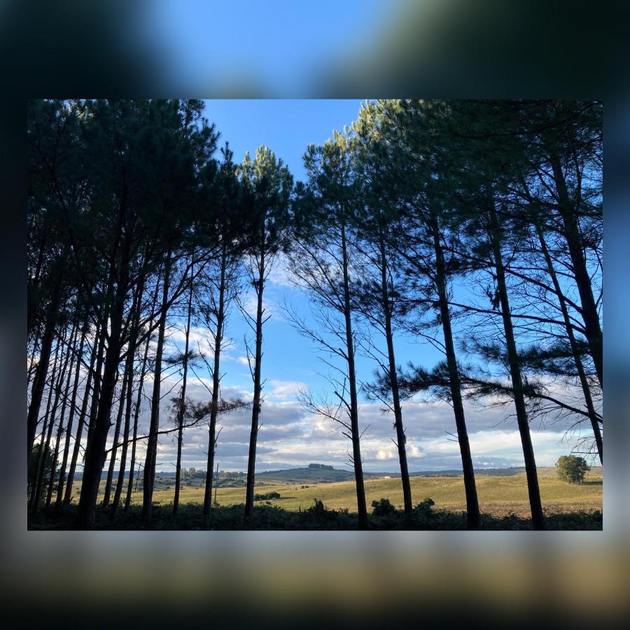 Estancia Pinos de la Quebrada Quebrada de los Cuervos Exterior foto
