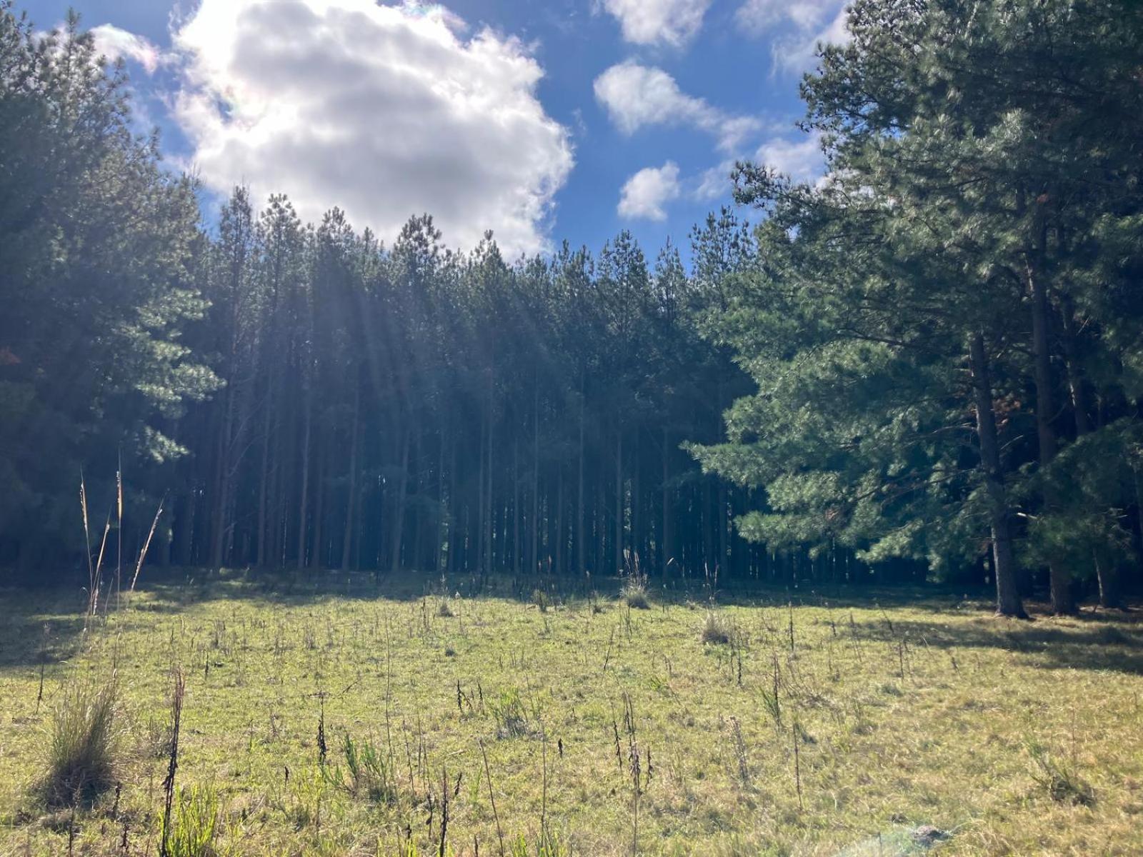 Estancia Pinos de la Quebrada Quebrada de los Cuervos Exterior foto