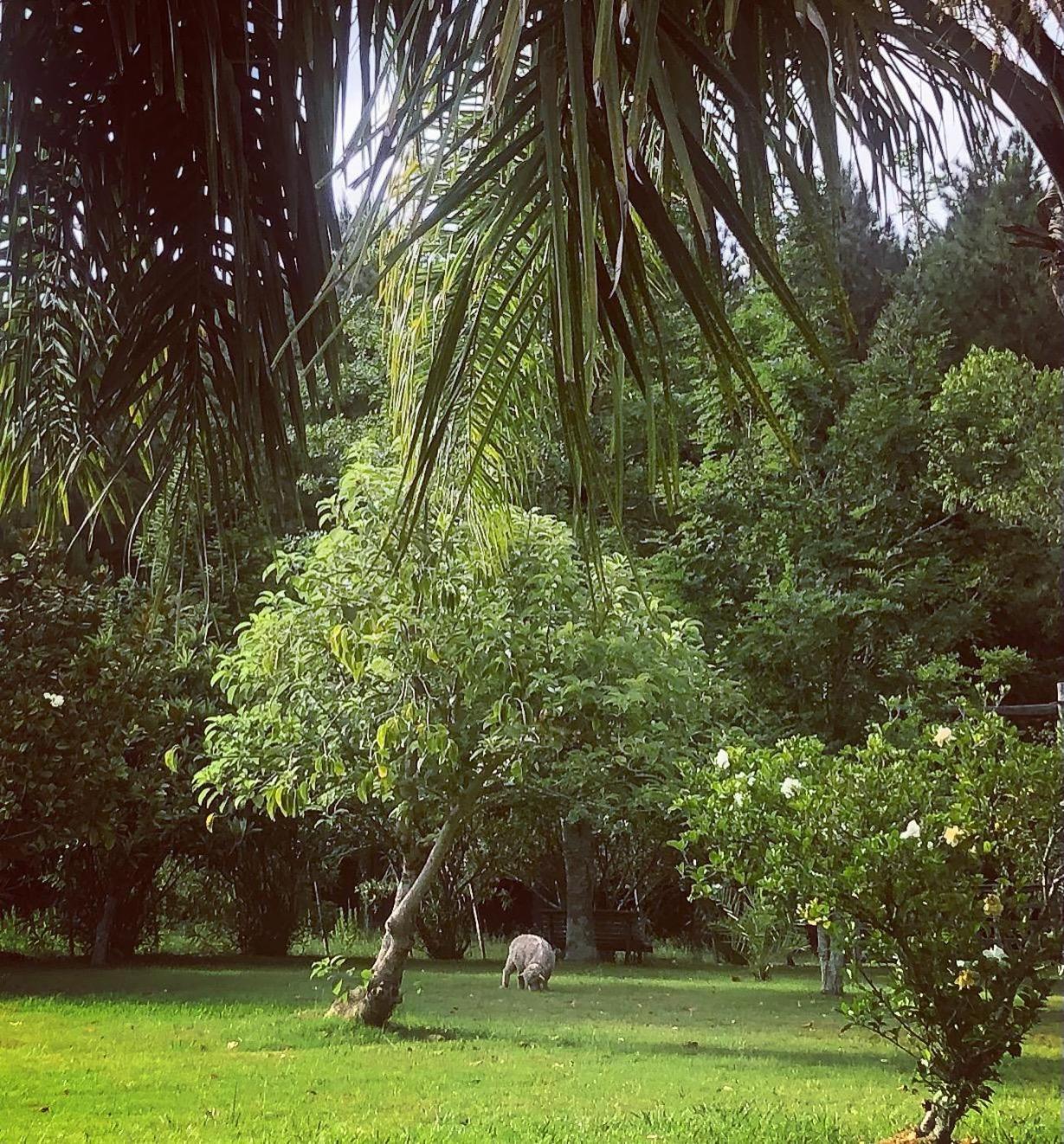 Estancia Pinos de la Quebrada Quebrada de los Cuervos Exterior foto