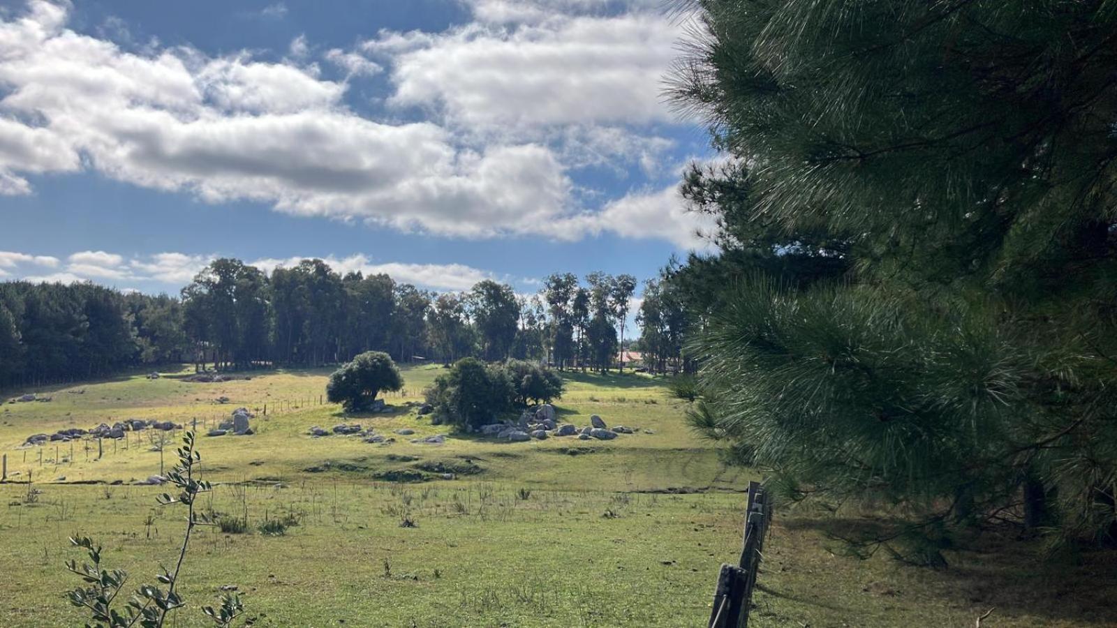 Estancia Pinos de la Quebrada Quebrada de los Cuervos Exterior foto