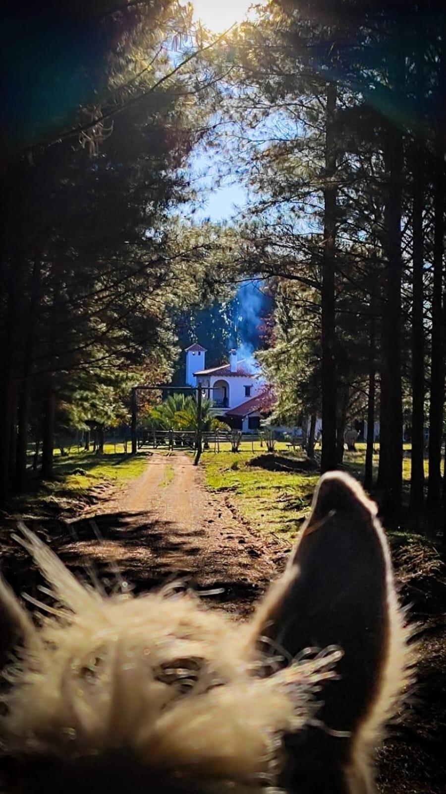 Estancia Pinos de la Quebrada Quebrada de los Cuervos Exterior foto