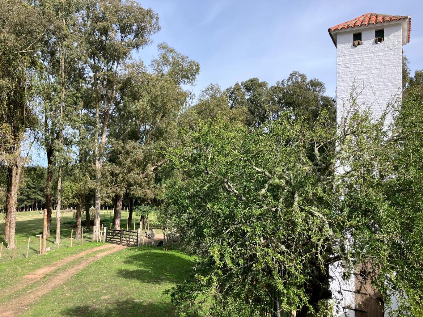 Estancia Pinos de la Quebrada Quebrada de los Cuervos Exterior foto